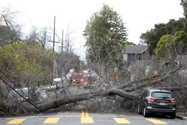 Brutal Bomb Cyclone Thrashes Northern California, Downs Power And Trees