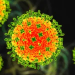 NOT AGAIN! A New Langya Virus Has Been Discovered In China, With 35 People Infected Already!