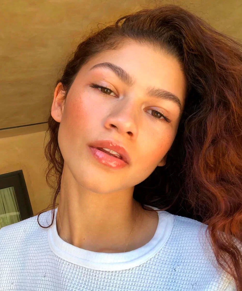 Zendaya Biography, Net Worth & Investment 2022