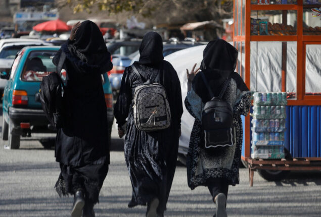 Taliban Bans Women From Working For NGOs